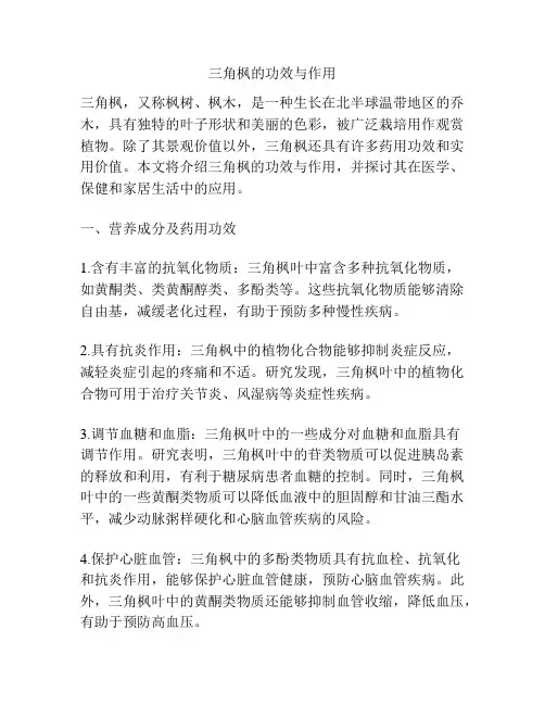 三角枫的功效与作用