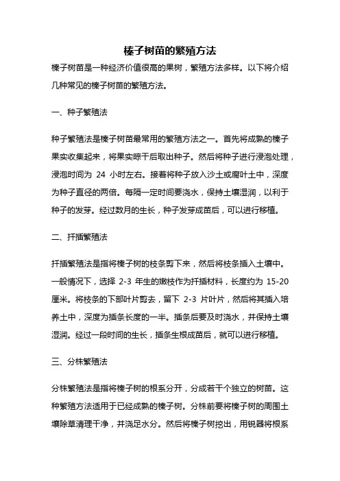 榛子树苗的繁殖方法