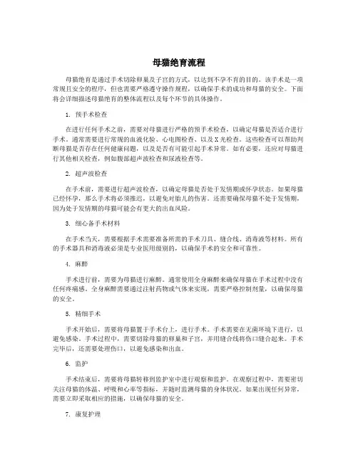 母猫绝育流程