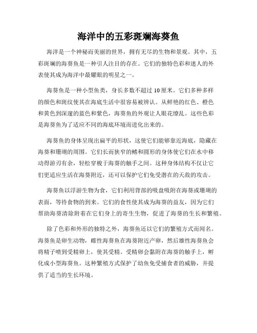 海洋中的五彩斑斓海葵鱼