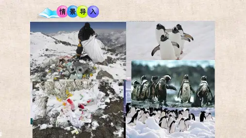 生物北师大八年级上册  生物圈中的动物和微生物微生物在生物圈中的作用PPT