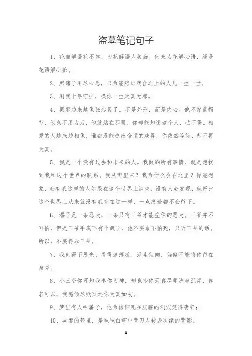 盗墓笔记句子