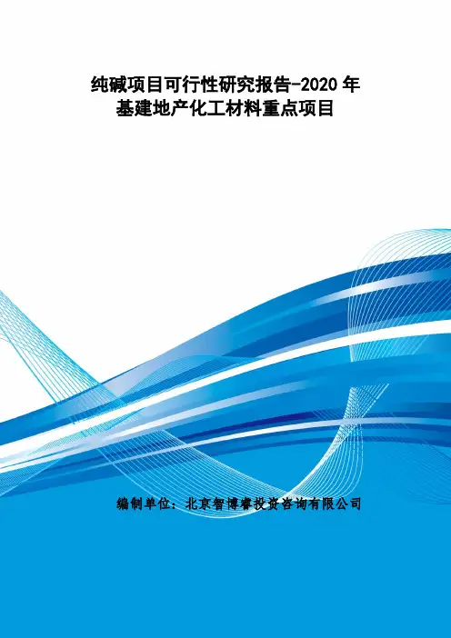 纯碱项目可行性研究报告-2020年基建地产化工材料重点项目