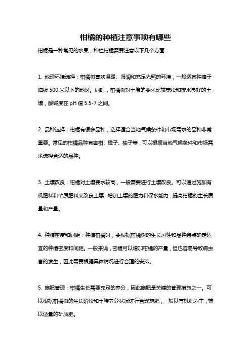 柑橘的种植注意事项有哪些