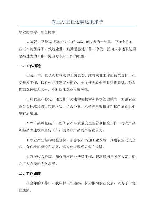 农业办主任述职述廉报告
