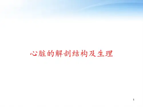 心脏的解剖结构及生理 ppt课件