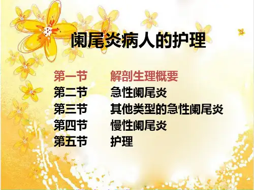 阑尾炎病人的护理《外科护理学》ppt课件