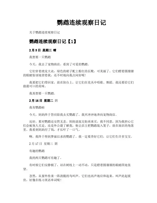 鹦鹉连续观察日记