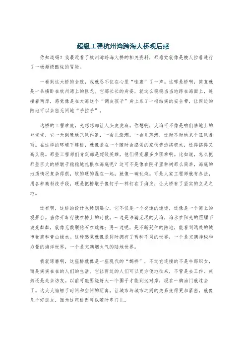 超级工程杭州湾跨海大桥观后感