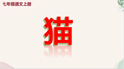 第17课 《猫》(课件)-七年级语文上册(统编版2024五四学制)