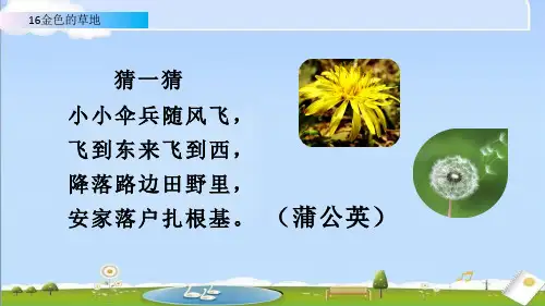 新部编版三年级上册语文《金色的草地》课件ppt