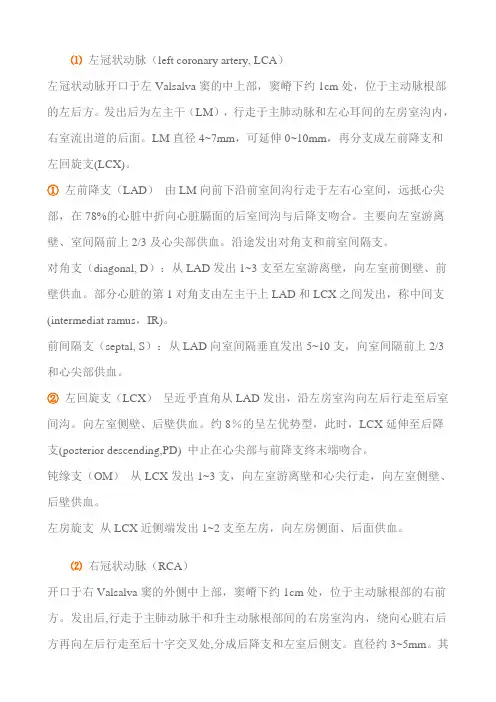 《CTA血管解剖》word版