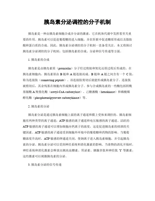 胰岛素分泌调控的分子机制
