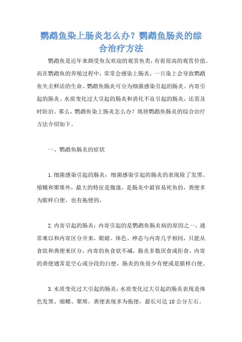 鹦鹉鱼染上肠炎怎么办？鹦鹉鱼肠炎的综合治疗方法