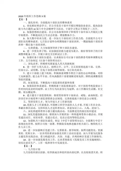 2020年组织工作思路3篇