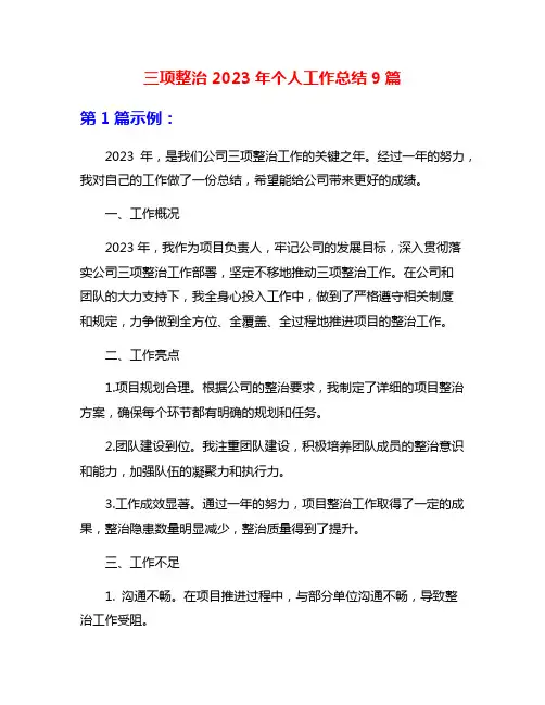 三项整治2023年个人工作总结9篇