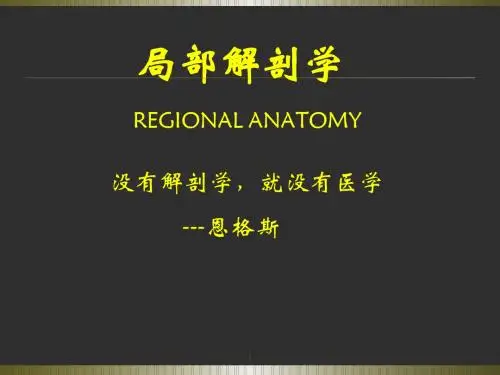 局部解剖学下肢ppt课件