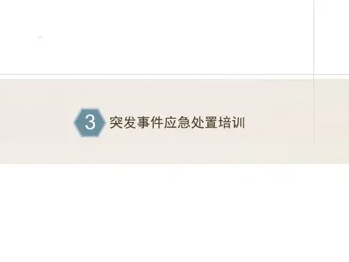 突发事件应急处置培训