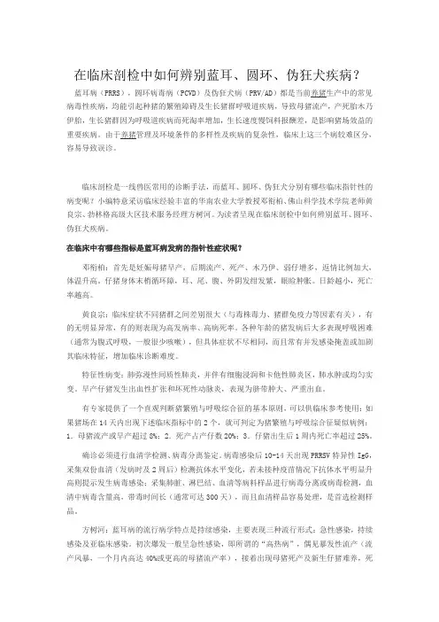 在临床剖检中如何辨别蓝耳、圆环、伪狂犬疾病？