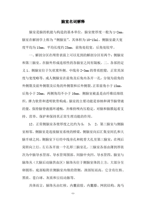 脑室名词解释