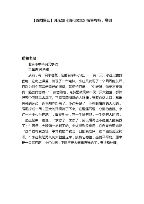 【看图写话】苏乐知《?猫和老鼠》指导教师：高剑