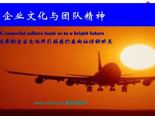 企业文化与团队精神PPT