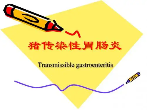 传染性胃肠炎