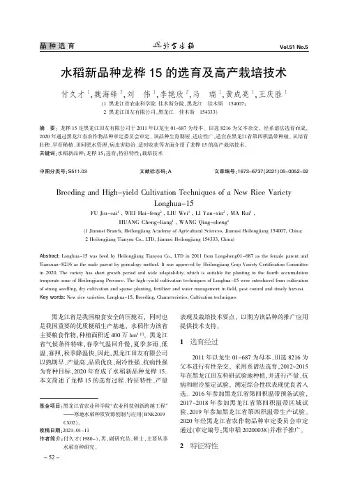 水稻新品种龙桦15的选育及高产栽培技术
