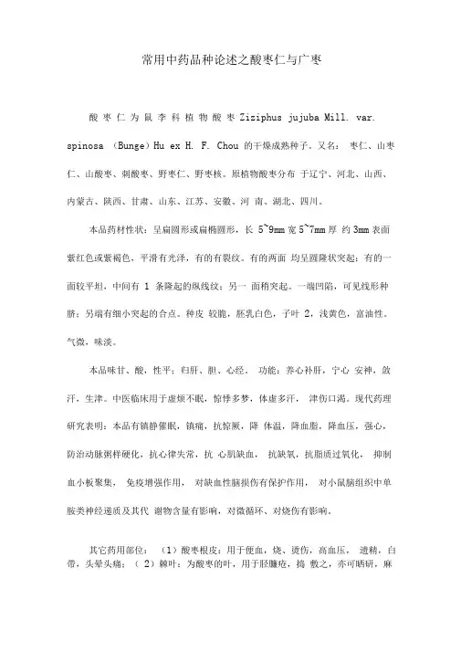 常用中药品种论述之酸枣仁与广枣