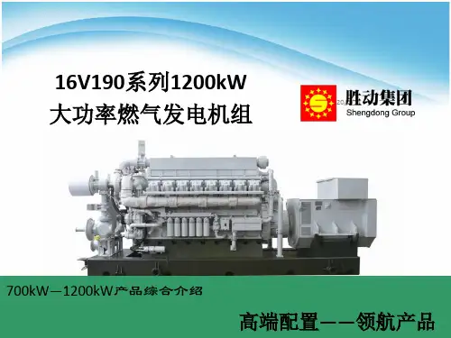 胜动12V190-700-16V190-1200系列大功率燃气发电机组分解