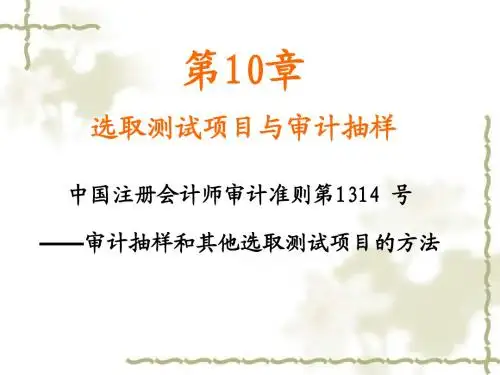 10.审计抽样