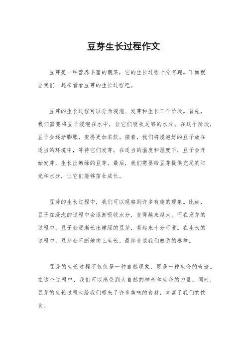 豆芽生长过程作文