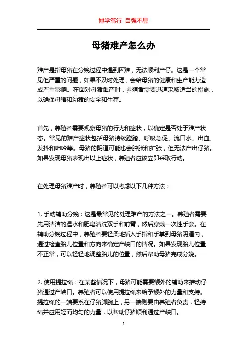 母猪难产怎么办