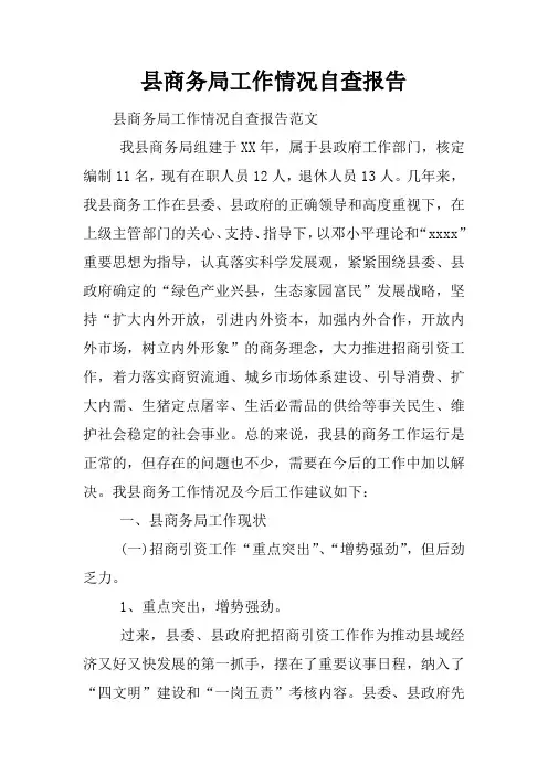 县商务局工作情况自查报告