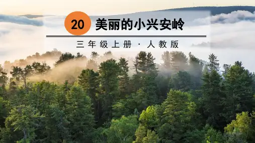 20 美丽的小兴安岭(共44张PPT)