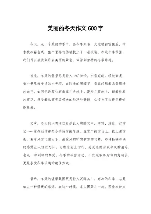 美丽的冬天作文600字