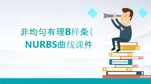 非均匀有理B样条NURBS曲线课件