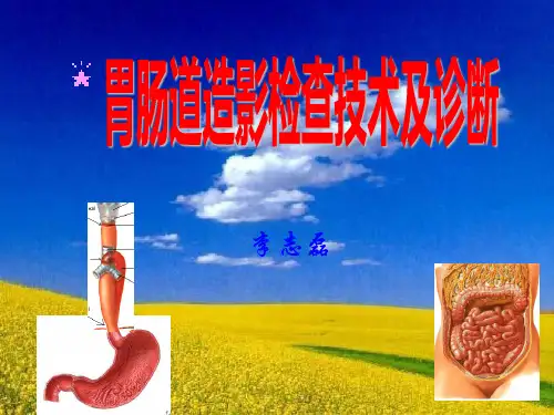胃肠道造影检查技术及诊断