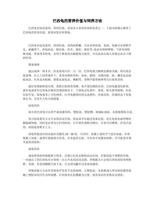 巴西龟的营养价值与饲养方法