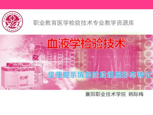 浆细胞系统各阶段细胞形态特征.