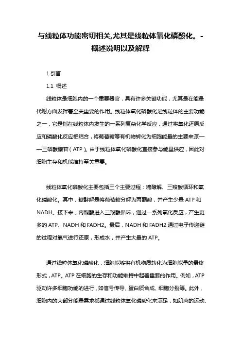 与线粒体功能密切相关,尤其是线粒体氧化磷酸化。-概述说明以及解释