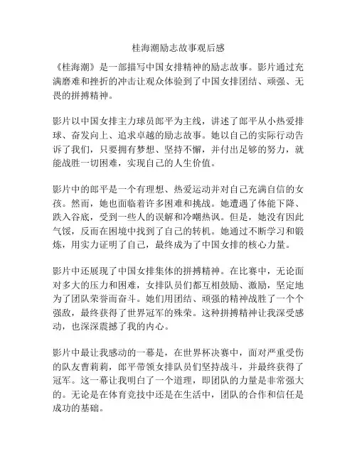 桂海潮励志故事观后感