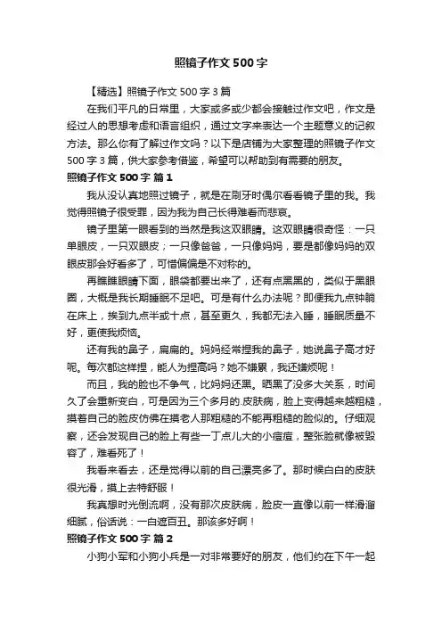 照镜子作文500字