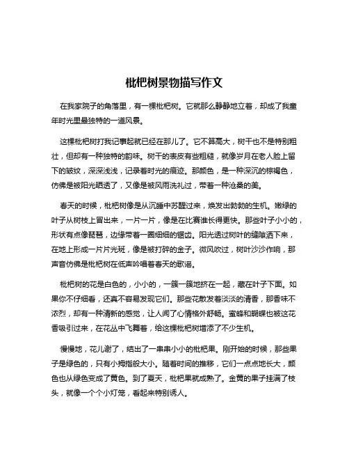 枇杷树景物描写作文