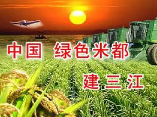 第12课 大一统的汉朝(含视频 说课稿)