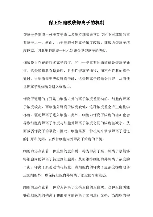 保卫细胞吸收钾离子的机制