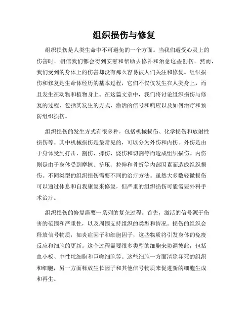 组织损伤与修复