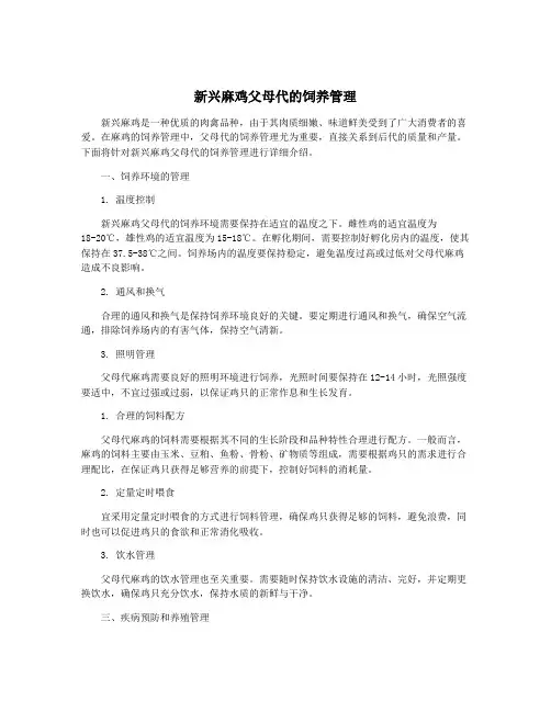 新兴麻鸡父母代的饲养管理