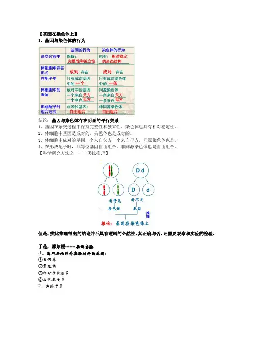 基因与染色体的关系