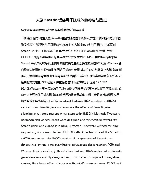 大鼠Smad6慢病毒干扰载体的构建与鉴定